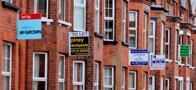 Houses to let